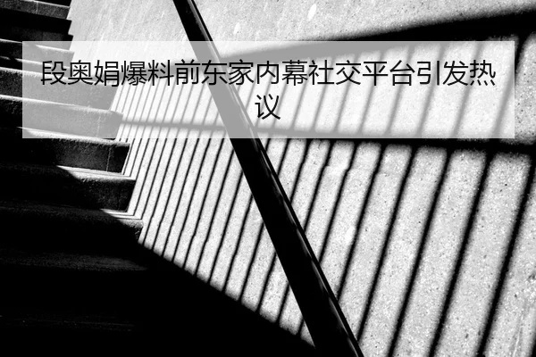 段奥娟爆料前东家内幕社交平台引发热议